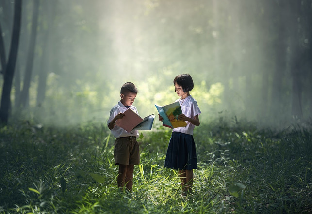 die-bne-umfasst-unter-anderem-die-lehre-vom-mensch-cc0-pixabay-sasint-191031_download Die BNE umfasst unter anderem die Lehre vom menschen als Teil der Natur.