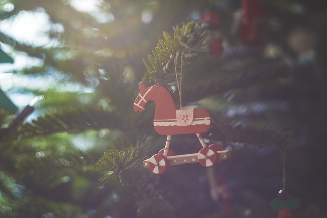 nach-dem-aufstellen-kannst-du-deinen-weihnachtsbau-cc0-pixabay-markusspiske-221205_download Nach dem Aufstellen kannst du deinen Weihnachtsbaum mit unseren Tipps frisch halten.