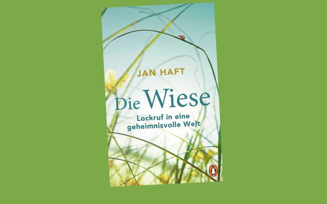 Die Wiese: Lockruf in eine geheimnisvolle Welt. Die Wiese: Lockruf in eine geheimnisvolle Welt.