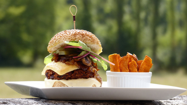 vegane-burgerpatties-mit-kidneybohnen-sind-superle-cc0--pixabay--comidacomafeto-250605_download Vegane Burgerpatties mit Kidneybohnen sind superlecker und leicht zuzubereiten.