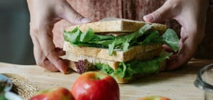 Auch für vegane Ernährung braucht es Tierhaltung – Was ist dran an der Behauptung?