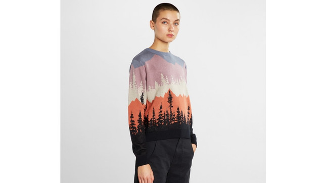 Nachhaltige Herbstpullover: 7 zeitlose Modelle Dedicated Herbstpullover Arendal Landscape Sweater