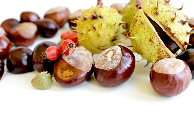 herbstliche-materialien-auf-eine-schnur-aufgefaedel-cc0-pixabay-monfocus-180914_download Herbstliche Materialien auf eine Schnur aufgefädelt, ergeben eine schöne Kette fürs Fenster.