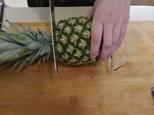 die-ananasblaetter-entfernen-utopia-inke-klabunde-190604_download Die Ananasblätter entfernen.