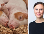 Peta fordert Grundrechte für Tiere: Interview mit Dr. Vera Christopeit