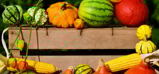 Biokiste Ökokiste Gemüsekiste Obstkiste Biokiste Ökokiste Gemüsekiste Obstkiste