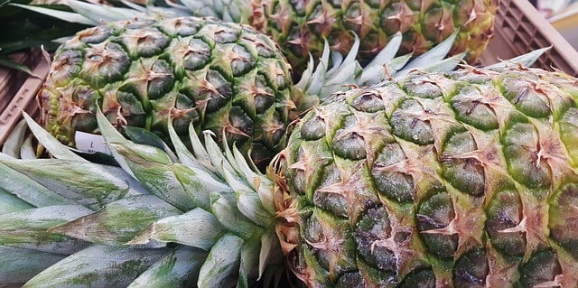 pineapples-1353212_640 Die stachelige Blattkrone der Ananas und die harte Schale dienen zum Schutz.