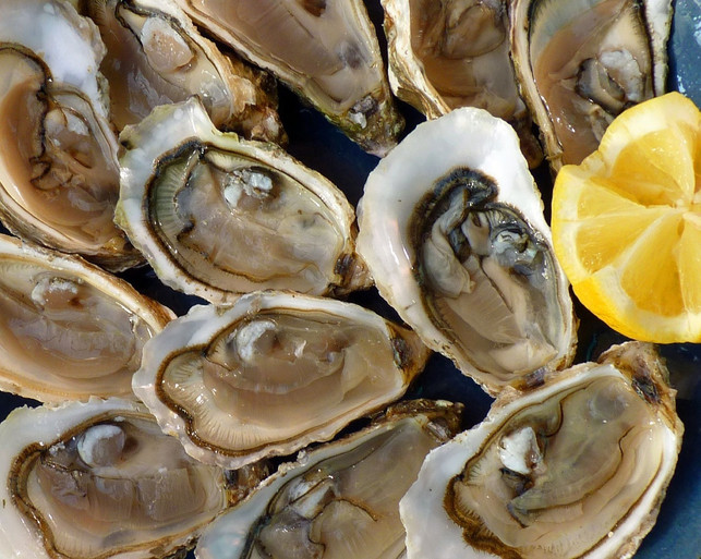 austern-gelten-als-die-lebensmittel-mit-dem-groesste-cc0-pixabay-macayran-240102_download Austern gelten als die Lebensmittel mit dem größten Zinkgehalt.