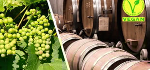 Veganer Wein