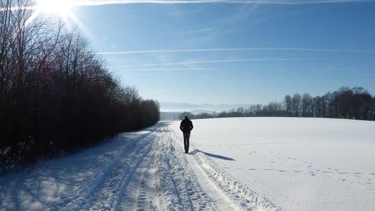 vitamin-d-winter-cc0-pixabay-silviarita-241122 vitamin d winter