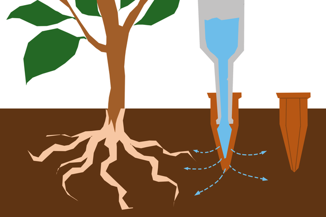 tonkegel-lassen-gleichmaessig-wasser-zu-den-wurzeln-freya-petersen-utopia-250121_download Tonkegel lassen gleichmässig Wasser zu den Wurzeln deiner Pflanze sickern.