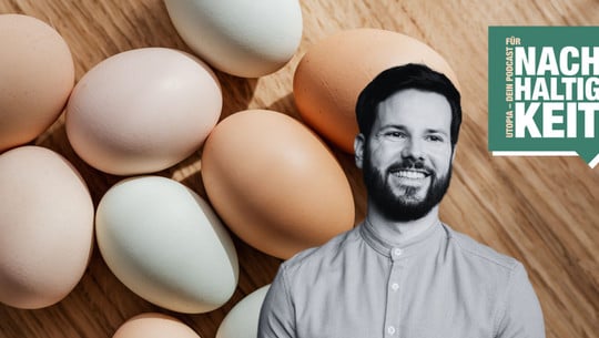 Eier ohne Tierleid? Niko Rittenaus "Leuchtturmprojekt" denkt Hühnerhaltung neu