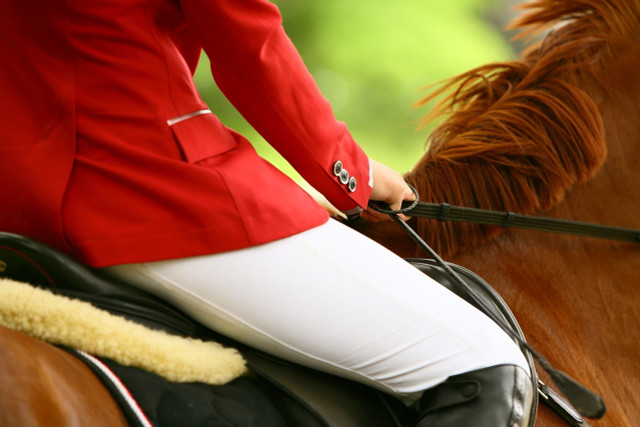 In hobby horsing, hobby horses are used instead of real horses.