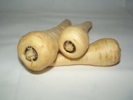 du-brauchst-500-gramm-pastinaken-cc0-pixabay-publicdomainpictures-190114_download Du brauchst 500 Gramm Pastinaken