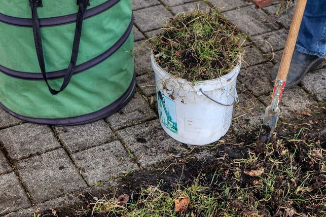 mit-einer-harke-kannst-du-stellenweise-rasenfilz-e-cc0-pixabay-planet_fox-240820_download Mit einer Harke kannst du stellenweise Rasenfilz entfernen.