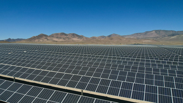 solarparks-nutzen-pflanzen-und-verschiedenen-tierg-cc0-unsplash-manny-becerra-250424_download Solarparks nutzen Pflanzen und verschiedenen Tiergattungen – von Säugetieren wie Fledermäusen bis hin zu Amphibien.