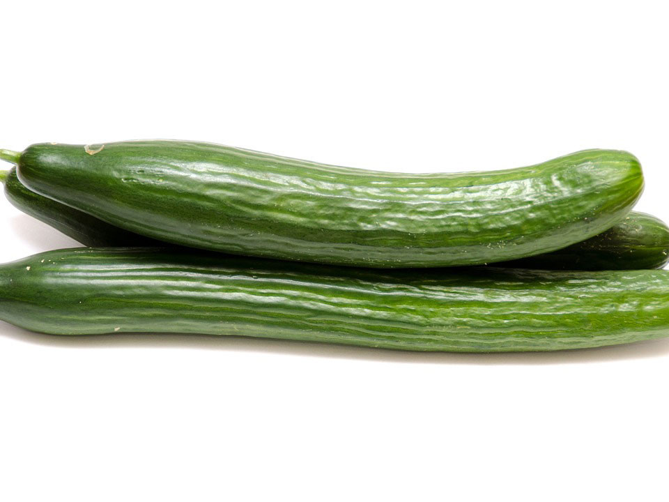 Green und Vegan Sex: 9 Tipps fr ein nachhaltiges Liebesleben