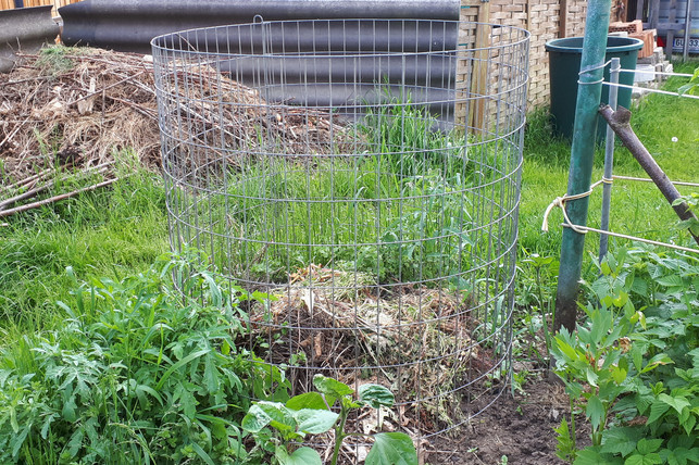 der-untergrund-des-kartoffelturms-besteht-aus-unre-maria-hohenthalutopia-200602_download Der Untergrund des Kartoffelturms besteht aus unreifem Kompost oder Baumschnitt.