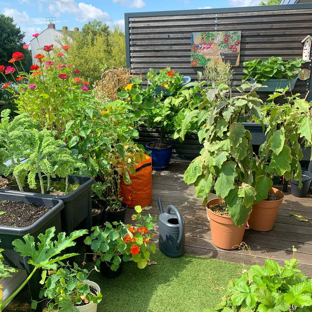 selbst-angebautes-und-geerntetes-essen-foerdert-das-the-frenchie-gardener-220207_download Selbst angebautes und geerntetes Essen fördert das Bewusstsein für die Natur: Eine der Hauptaussagen in The Frenchie Gardener.