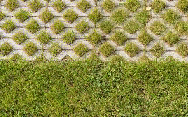 Rasensteine als Abgrenzung Rasengitter aus Beton gibt es auch in Rautenform.