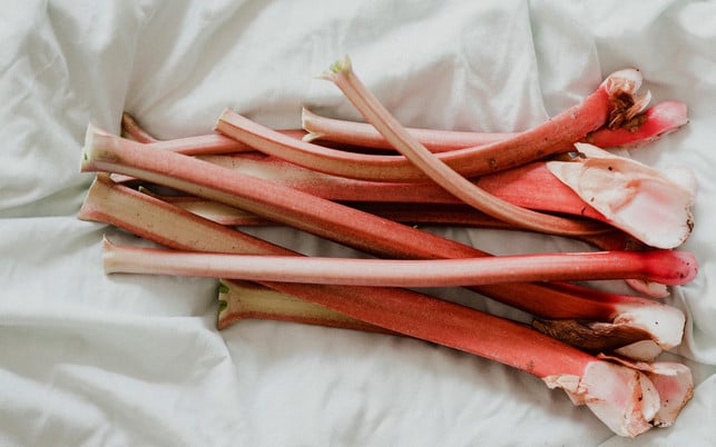 rhabarber-verarbeiten-feucht-lagern-cc0-us-annie-spratt-220425-1280x800 Vor der Verarbeitung kannst du Rhabarber in ein feuchtes Tuch eingeschlagen lagern.