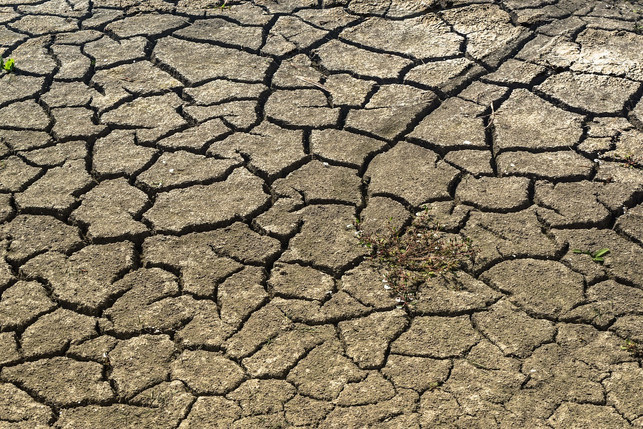der-klimawandel-trifft-vor-allem-laender-im-globale-cc0-pixabay-donations_are_appreciated-181026_download Der Klimawandel trifft vor allem Länder im globalen Süden stark