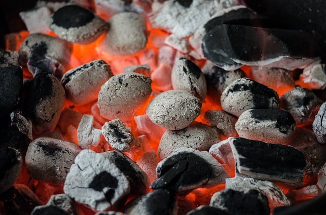 achte-bei-der-grillkohle-darauf-dass-sie-frei-von-cc0-pixabay-skitterphoto-200612_download Achte bei der Grillkohle darauf, dass sie frei von Tropenholz ist und am besten aus regionalen Hölzern gefertigt wurde.