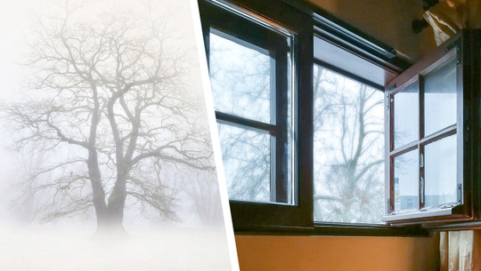 Lüften bei Nebel: Ist das sinnvoll? Lüften bei Nebel