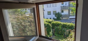 Richtig lüften im Sommer: Goldene Regel für ein Maximum an frischer Luft