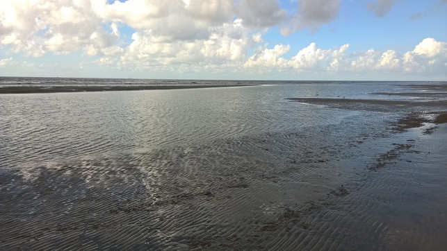 nordsee-in-daenemark-raue-nord-und-ostseekueste-sven-christian-schulz-utopia-180701_download Nordsee in Dänemark: Raue Nord- und Ostseeküste