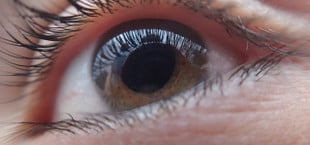 fremdkörper im auge
