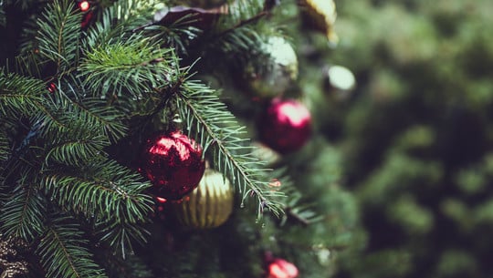 christmas-gb3fbWeihnachtsbaum: Nachhaltige Alternativen von Bio-Weihnachtsbaum bis Keinachtsbaumbf57b_1920 Weihnachtsbaum: Nachhaltige Alternativen von Bio-Weihnachtsbaum bis Keinachtsbaum