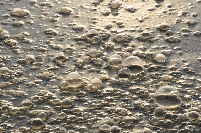 landwirtschaft-verschmutzt-den-wasserkreislauf-cc0-pixabay-jemzo-191025_download Landwirtschaft verschmutzt den Wasserkreislauf.