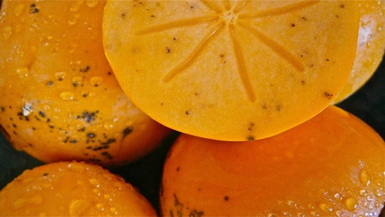 pelzige-kakis-cc0--pixabay--dfespi-251111 pelzige Kakis