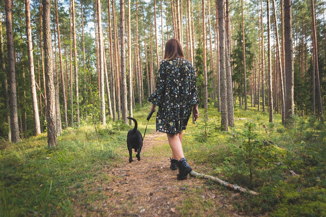 spaziergaenge-am-fruehen-morgen-oder-in-den-abendstu-cc0-pixabay-furry_portraits-210707_download Spaziergänge am frühen Morgen oder in den Abendstunden schützen vor der Hitze.