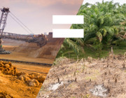 Neue Studie: Palmöl ähnlich problematisch wie Kohle