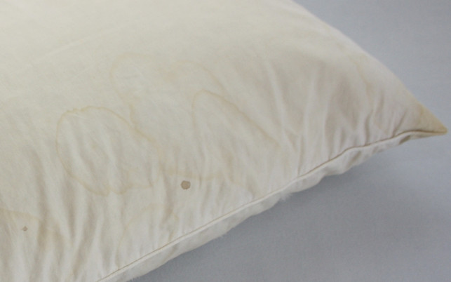 wasche-das-federkissen-regelmaessig-damit-du-lange-maria-hohenthalutopia-190817_download Wasche dein Federkissen regelmäßig, damit du lange etwas von ihm hast.