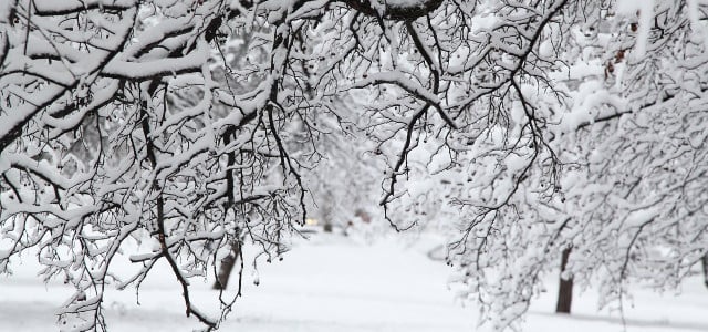Kalendarischer und meteorologischer Winteranfang