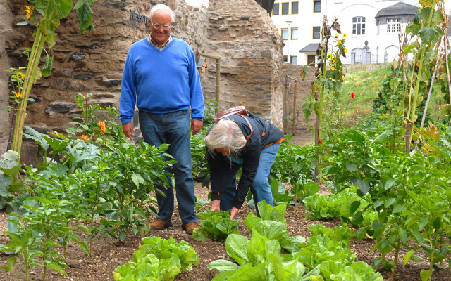 gemuese-ohne-garten-essbare-stadt-z-stadt-andernach-170308-1280x800 Essbare Stadt