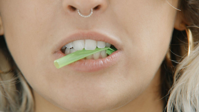 im-gegensatz-zu-herkoemmlichen-produkten-besteht-fo-forest-gum-200118_download Im Gegensatz zu herkömmlichen Produkten besteht Forest Gum nicht aus Kunststoff, sondern aus Chicle-Saft.