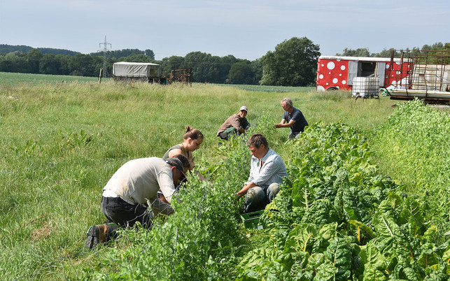 Laakenhof_Feldarbeit_u_190911_1280x800