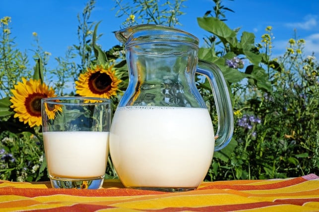 griechischer-joghurt-selbst-gemacht-aber-bitte-n-cc0-pixabay-couleur-200112_download Griechischer Joghurt selbst gemacht - aber bitte nur aus Bio-Milch.