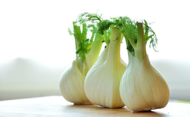 in-den-sommer-und-herbstmonaten-hat-der-fenchel-s-cc0-pixabay-congerdesign-200617_download Der Fenchelauflauf gelingt auch in vegan.