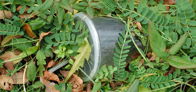 bioplastik-kompostierbar-x-John-Kratz-cc-by-sa-2.0-160718-980x460 Bioplastik & Biokunsststoff: biologisch abbaubar oder nicht?