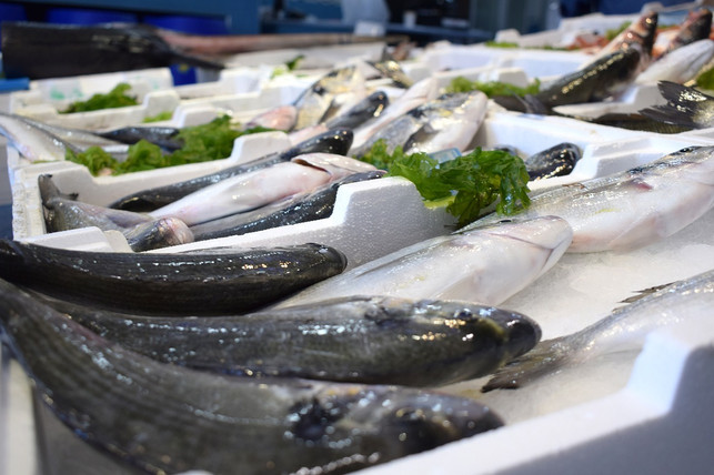 fisch-und-fleisch-koennen-ins-geld-gehen-aber-auch-cc0-pixabay-andreinanacca-221019_download Fisch und Fleisch können ins Geld gehen. Aber auch aus gesundheitlichen Gründen lohnt es sich, ohne zu leben.