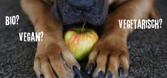 Tierfutter: Hundefutter und Katzenfutter bio, vegetarisch oder vegan.