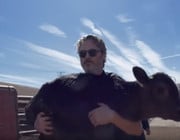 Joaquin Phoenix, Schlachthaus, Kuh, Kalb