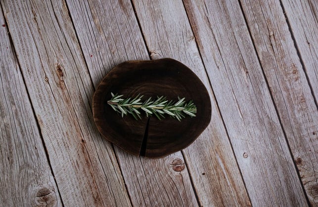 rosmarin-wasser-kannst-du-mit-frischen-und-getrock-cc0-unsplash-calvin-chai-230623_download Rosmarin-Wasser kannst du mit frischem oder getrocknetem Rosmarin herstellen.