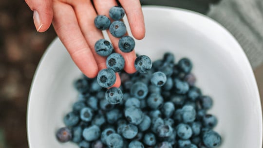 Blaubeer-Boom: Die Folgen Blaubeer-Boom: Die Folgen