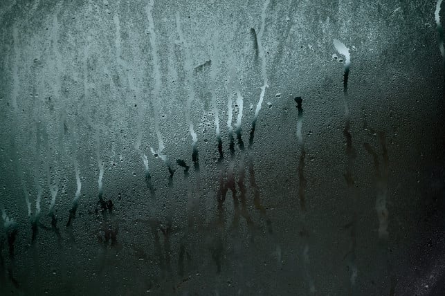 viel-feuchtigkeit-zieht-schimmel-und-den-moderkaefe-cc0-pixabay-pexels-211025_download Viel Feuchtigkeit zieht Schimmel und den Moderkäfer an. Lüfte deinen Keller also regelmäßig.